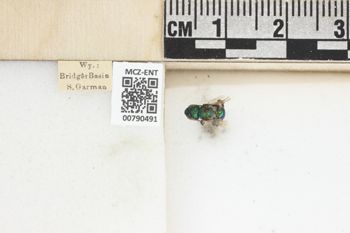Media type: image;   Entomology 790491 Aspect: Labels